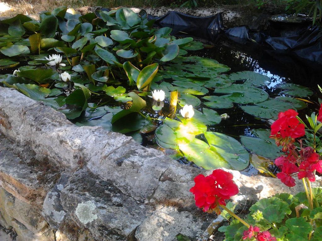 Hotel Rural Xerete Navaconcejo Εξωτερικό φωτογραφία